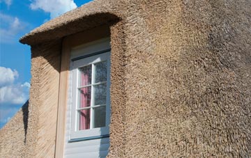 Boundary thatch roof disadvantages